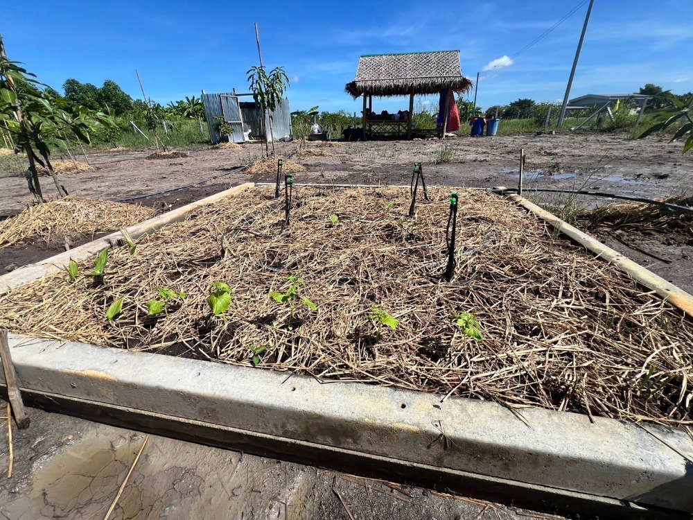 ขาย ที่ดิน 1 ไร่ ถนนเลียบคลอง11  หนองเสือ ปทุมธานี