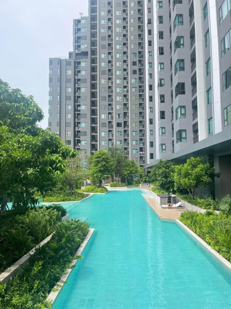 ให้เช่า 1 ห้องนอน 32 ตร.ม. ไลฟ์ สาทร เซียร์รา Life Sathorn Sierra